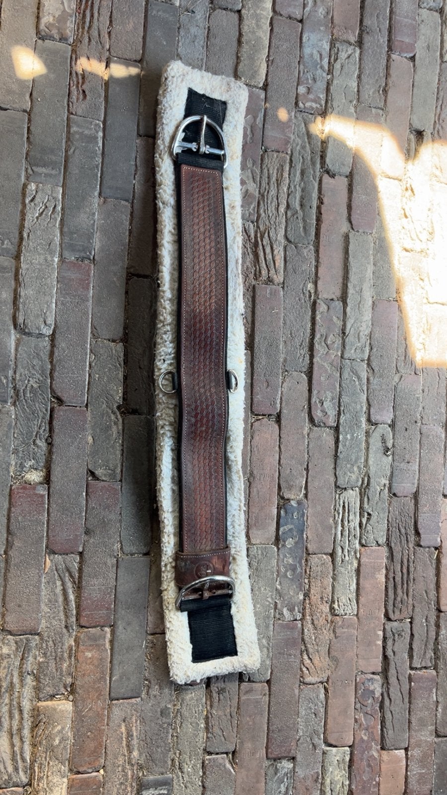 Singel à vendre (cuir), Animaux & Accessoires, Enlèvement
