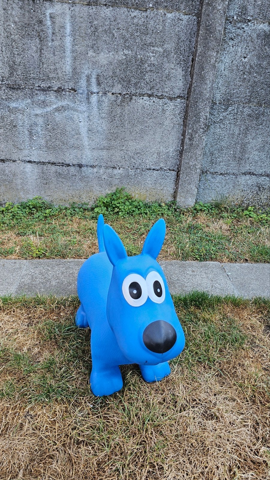 Hippy Skippy Blue Dog, designed for children to bounce on, Kinderen en Baby's, Ophalen of Verzenden