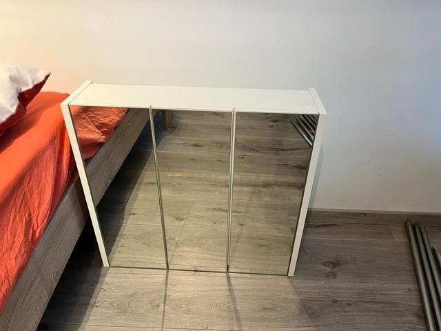 spiegelkast, Huis en Inrichting, Ophalen, 50 tot 100 cm, Minder dan 25 cm, Minder dan 100 cm