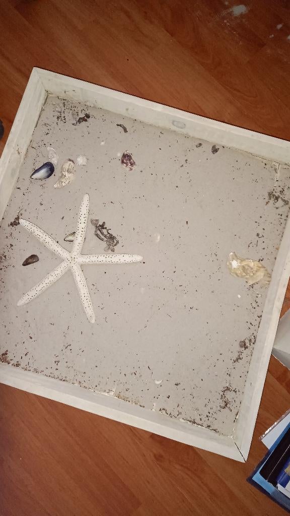 Zandbak speelgoed, Ophalen, Zo goed als nieuw