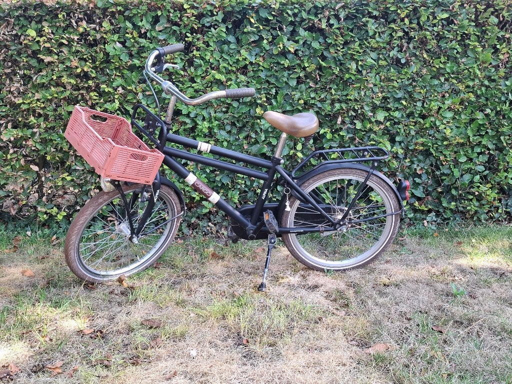 Kinderfiets Alpina Cargo, Ophalen, Gebruikt, Alpina, Terugtraprem