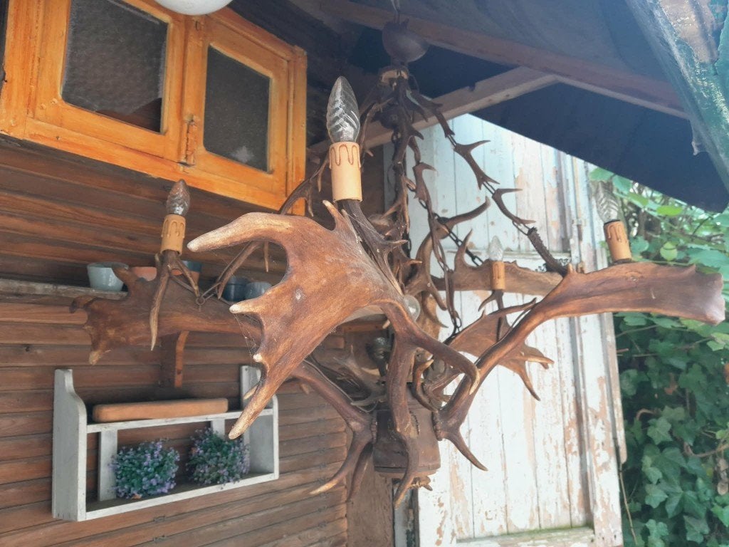 Lustres en bois de cerfs et bois de chevreuils, Enlèvement, Utilisé, Verre