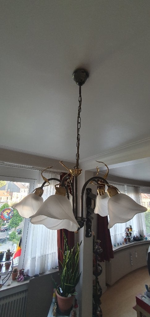 Lustre, Enlèvement, Utilisé