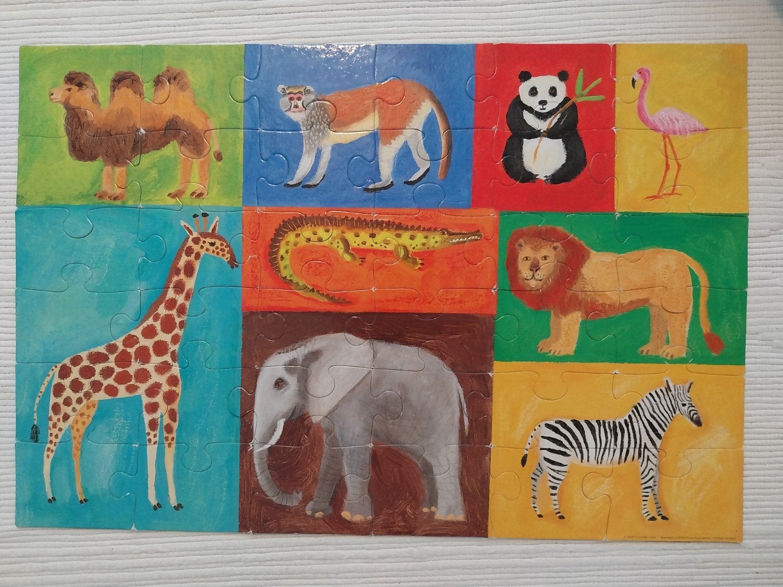 Jungle floor puzzle, Enlèvement, 10 à 50 pièces, Utilisé