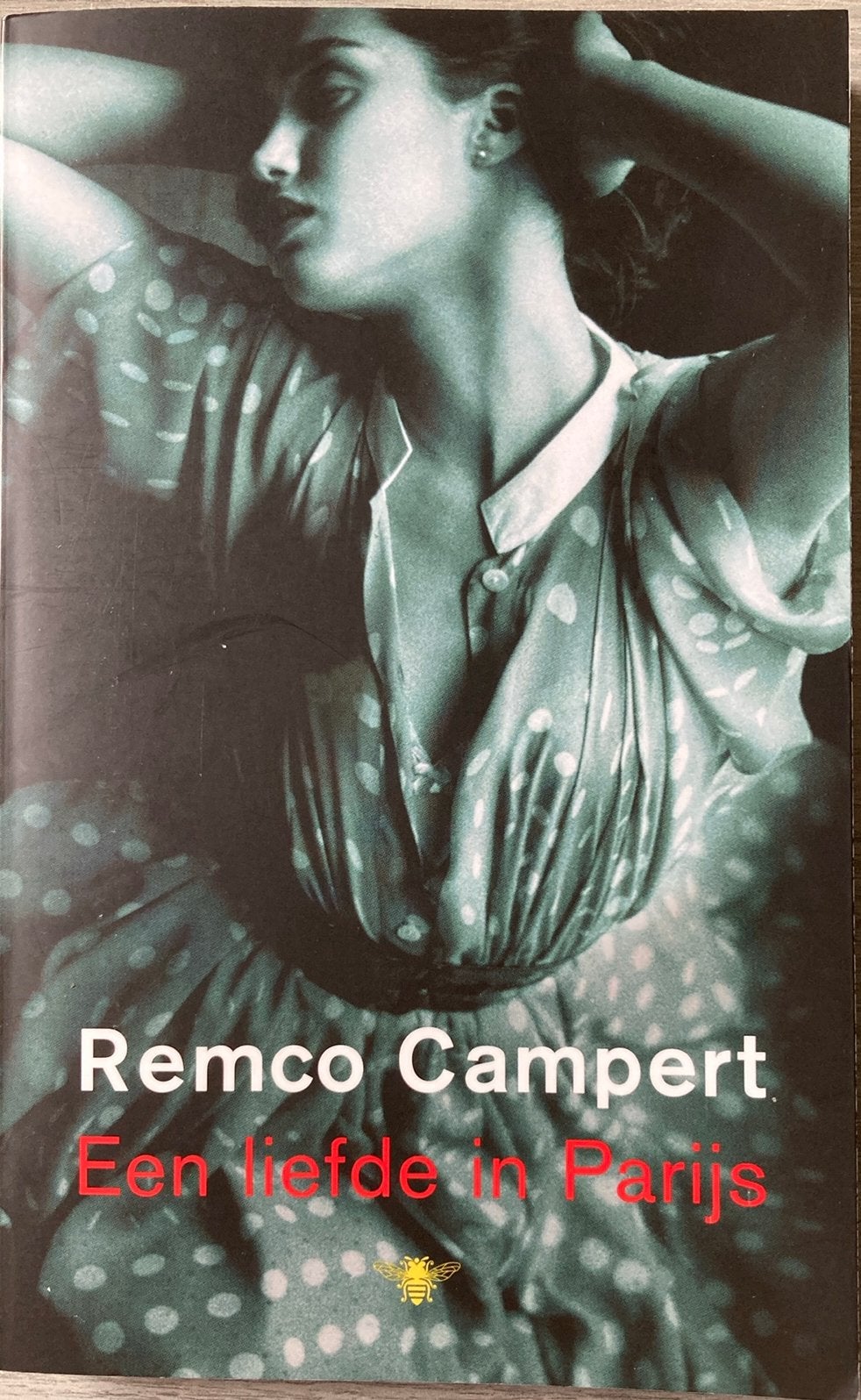 Remco Campert - Een liefde in Parijs, Ophalen of Verzenden, Remco Campert