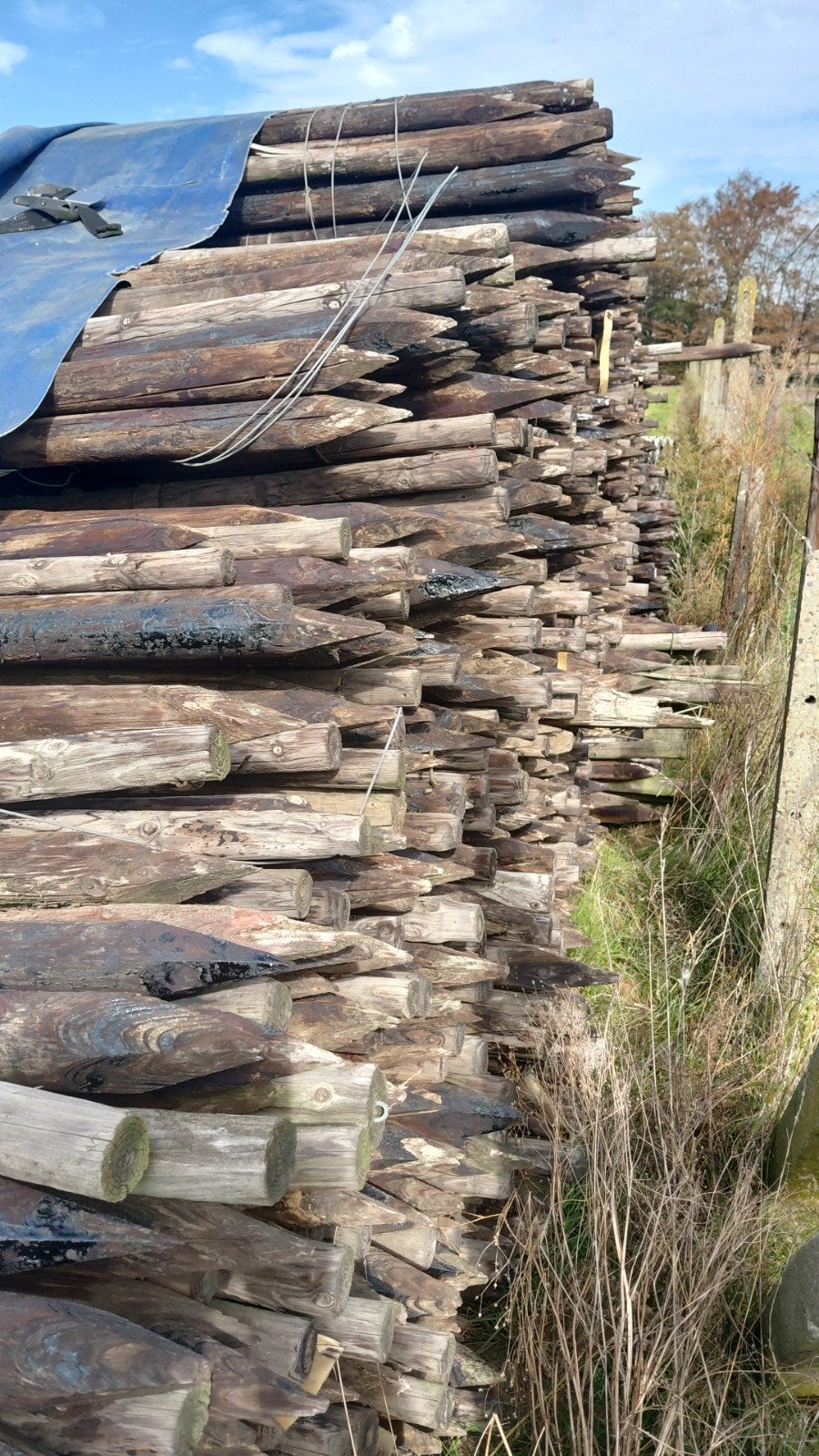 3000 gebruikte houten palen 2.5m, 6cm doorsnede, gepunt, Zakelijke goederen, Ophalen