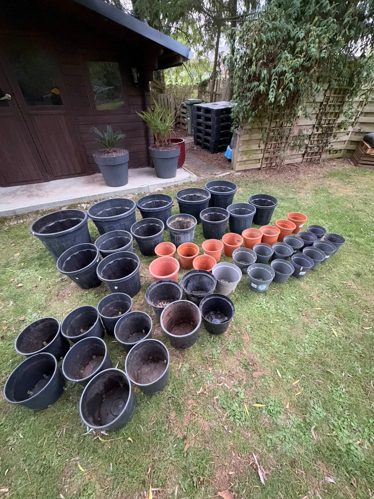 Lot de 49 pots de fleur, Jardin & Terrasse, Enlèvement, Comme neuf