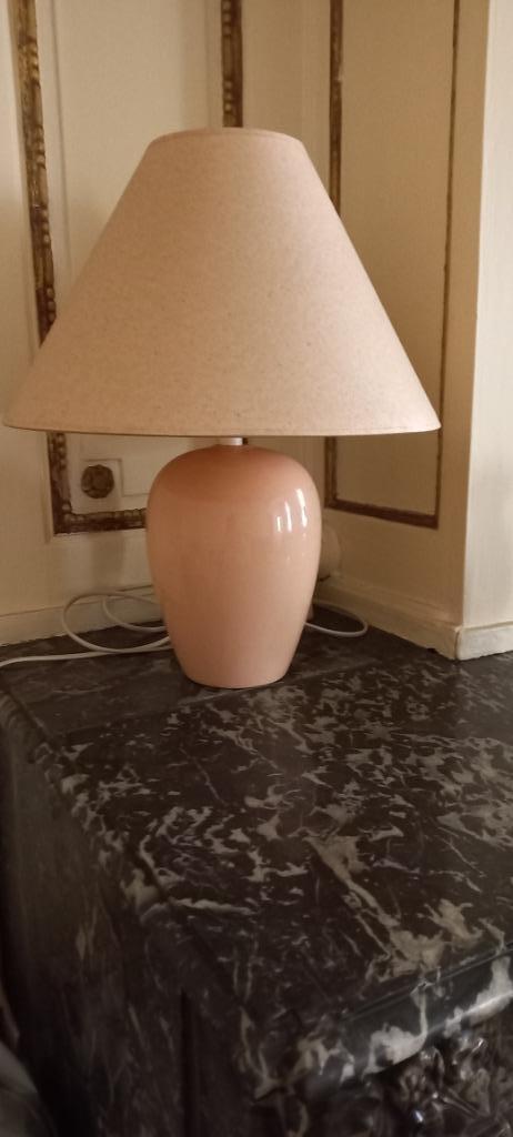 lampe saumon, Enlèvement