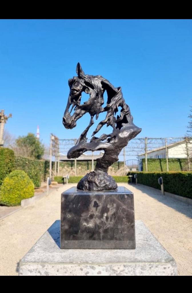 Paardenhoofd, ontwerp, Ophalen of Verzenden