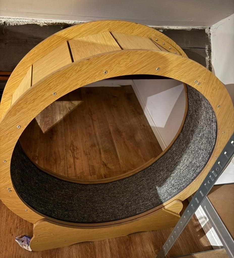 Roue d'exercice pour chat, Enlèvement, Utilisé