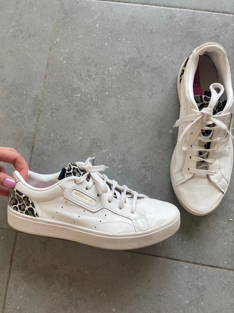 Adidas sleek series sneakers 40, Vêtements | Femmes, Enlèvement ou Envoi, Blanc, Sneakers et Baskets