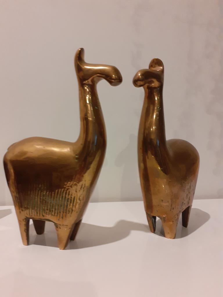 Lamas de cuivre, Enlèvement