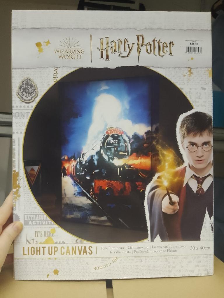 harry potter 30x40cm lichtgevend doek light up canvas nieuw!, Enlèvement ou Envoi, Neuf