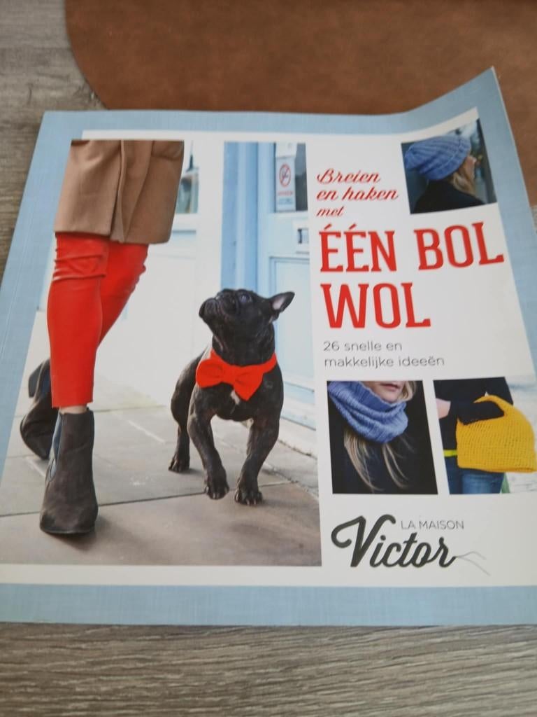 Breien en haken met één bol wol boek, Enlèvement, Tricot et Crochet