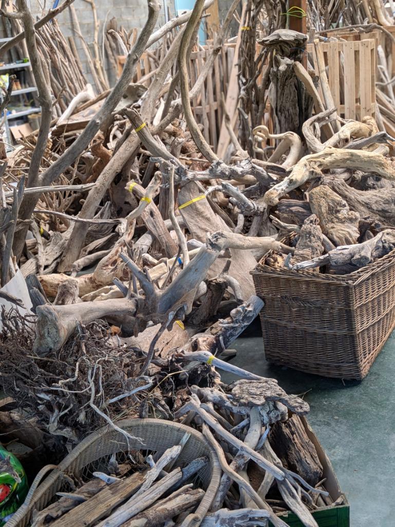 Drijfhout - Driftwood 🌿 Voorjaarsuitverkoop 🌿 10€/kg, Ophalen, Gebruikt, Natuur
