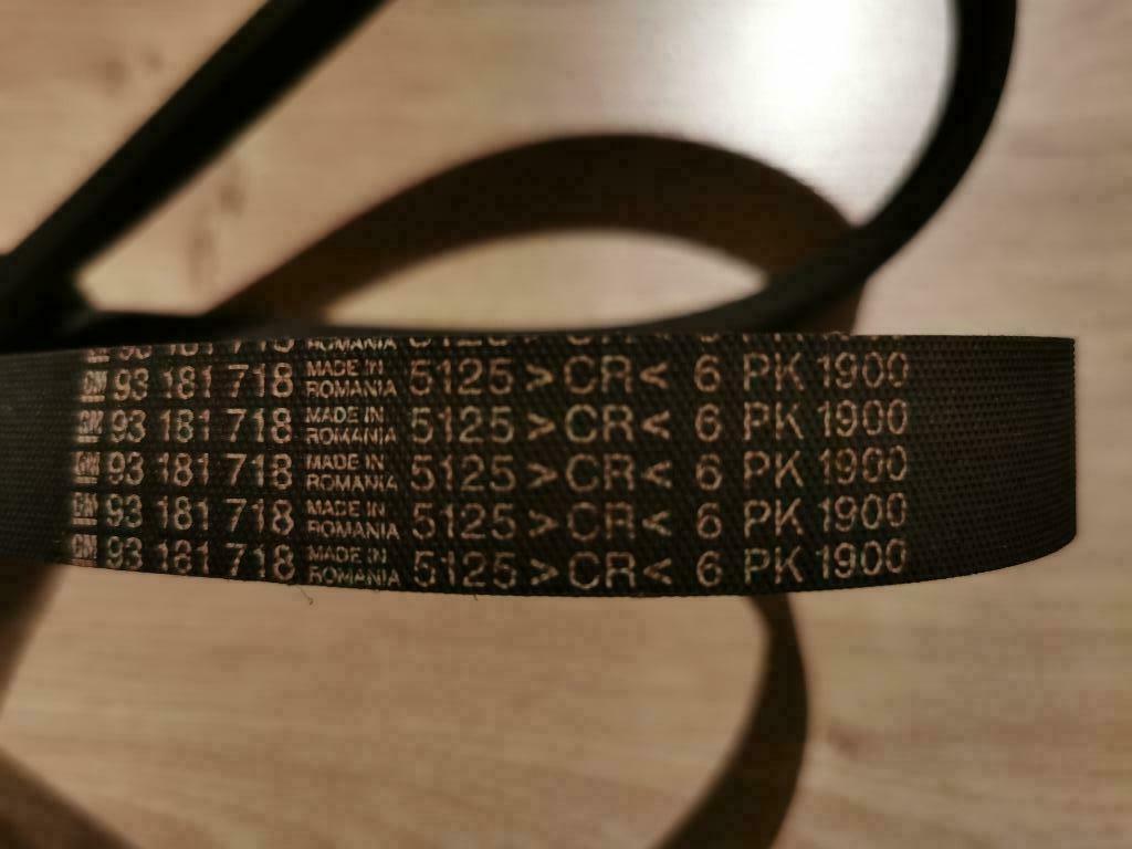 riem 6PK1900  Opel Calibra -Astra, Enlèvement ou Envoi, Neuf, Opel