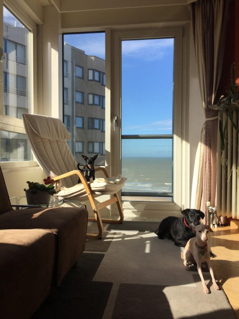 Appartement à louer à Westende, Immo, 50 m² ou plus, Province de Flandre-Occidentale