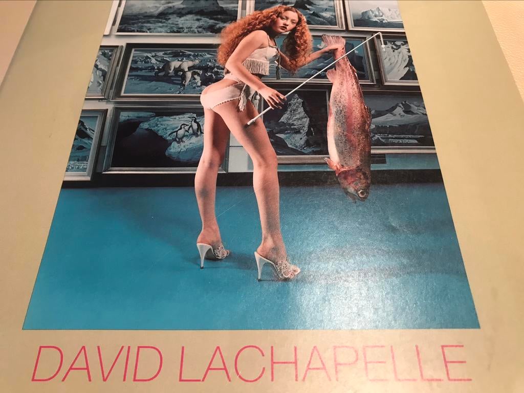 David Lachapelle Photographs groot formaat 100ag, Ophalen of Verzenden, Zo goed als nieuw, Overige onderwerpen