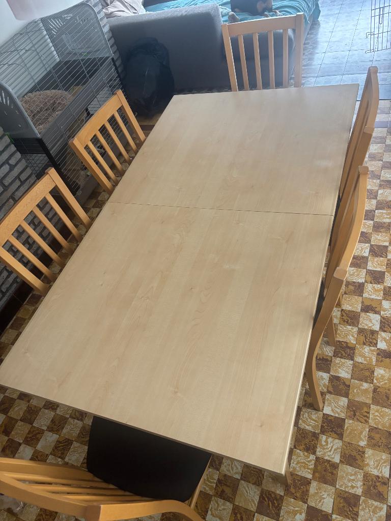 Eettafel met stoelen, Huis en Inrichting, Tafels | Eettafels, Ophalen, Zo goed als nieuw, Vijf personen of meer, Rechthoekig