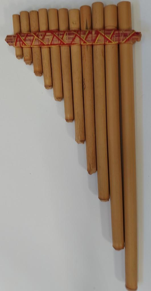 fluit, Musique & Instruments, Instruments à vent | Flûtes à bec, Enlèvement, Utilisé, Autres types