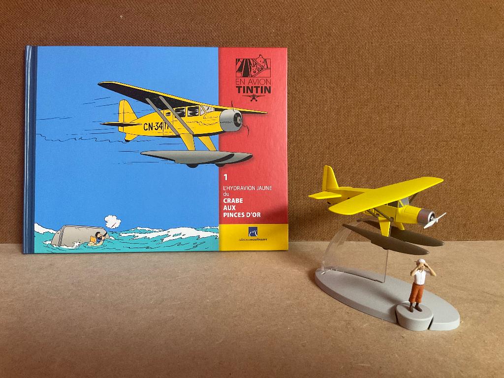 Tintin - Collection complète des 50 avions, Enlèvement, Tintin, Comme neuf, Statue ou Figurine