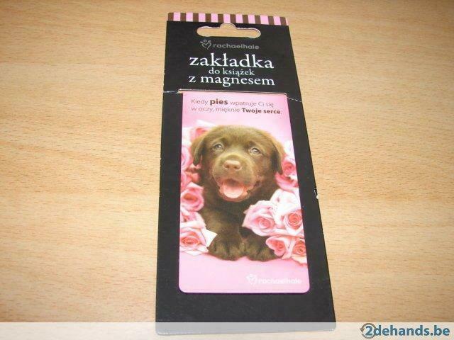Magnetisch item chocolade labrador, Enlèvement ou Envoi, Neuf