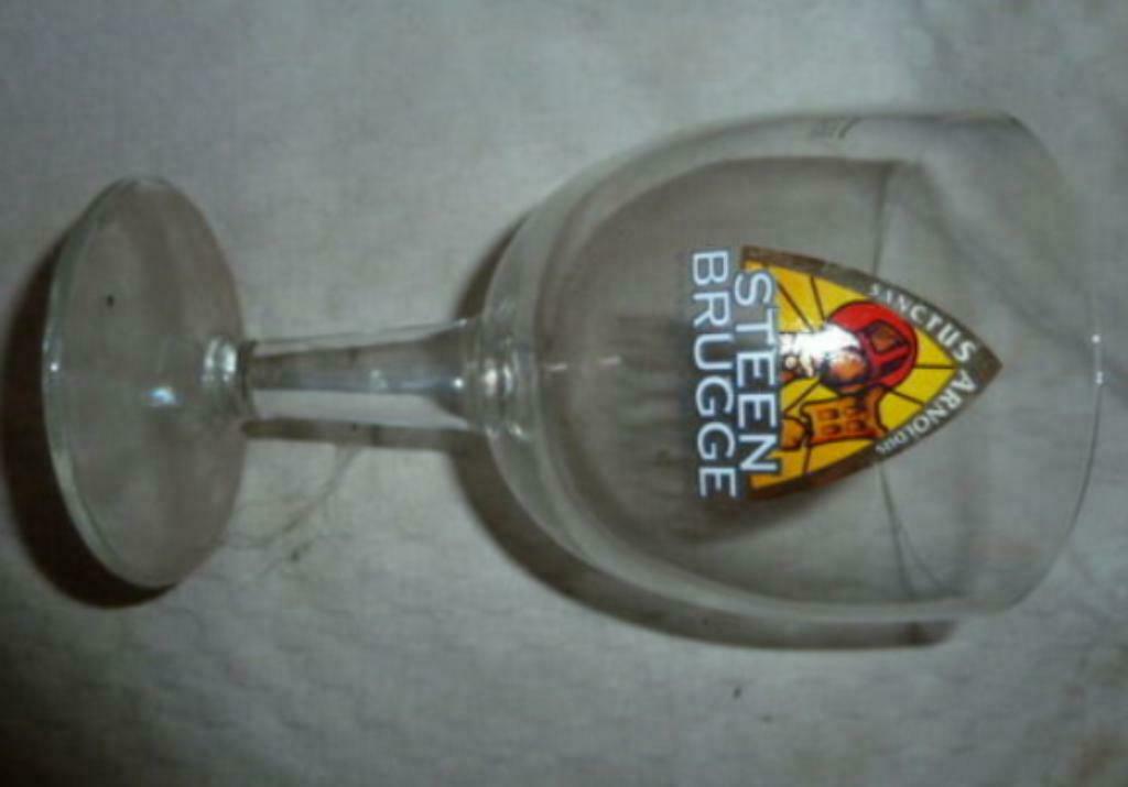 #D bier glas STEENBRUGGE 33cl brouwerij Palm - Steenhuffel, Ophalen of Verzenden, Nieuw, Bierglas