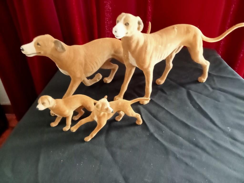 Familie hond, Enlèvement ou Envoi, Utilisé