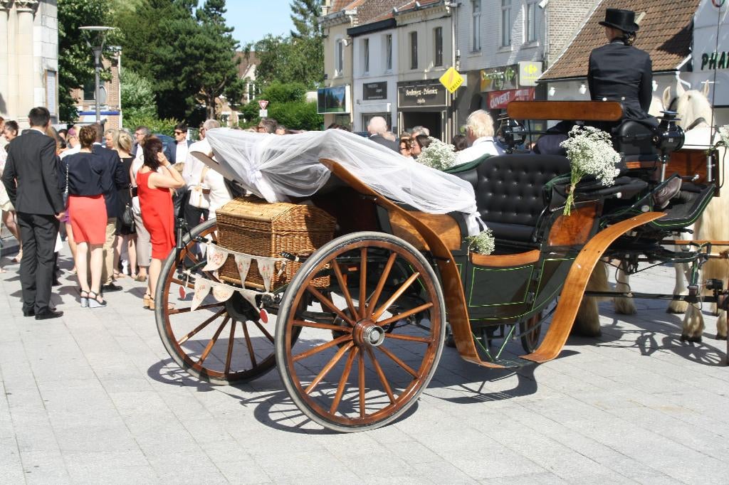 Paardenkoetsen, Ophalen, Zo goed als nieuw, Overige materialen, 2-paards trailer
