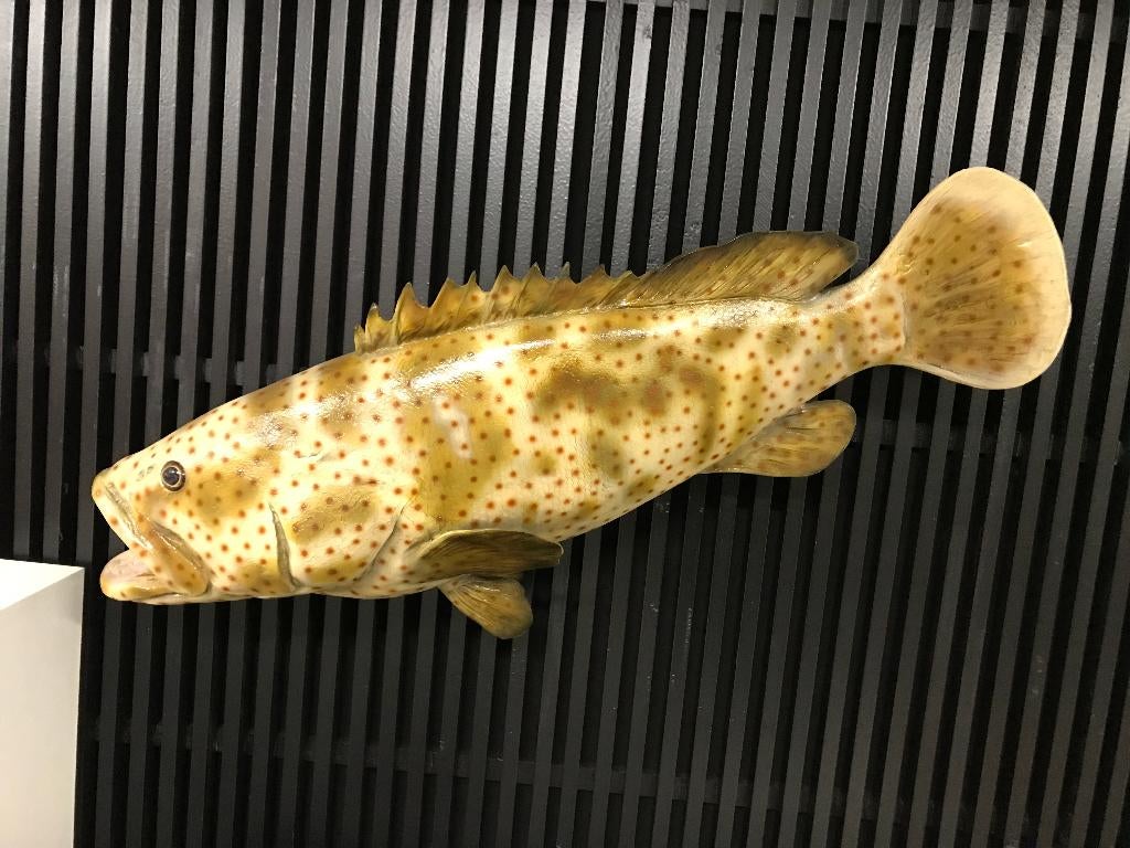 tuinbeeld in polyester een soort karper, Enlèvement ou Envoi, Neuf, Synthétique, Animal