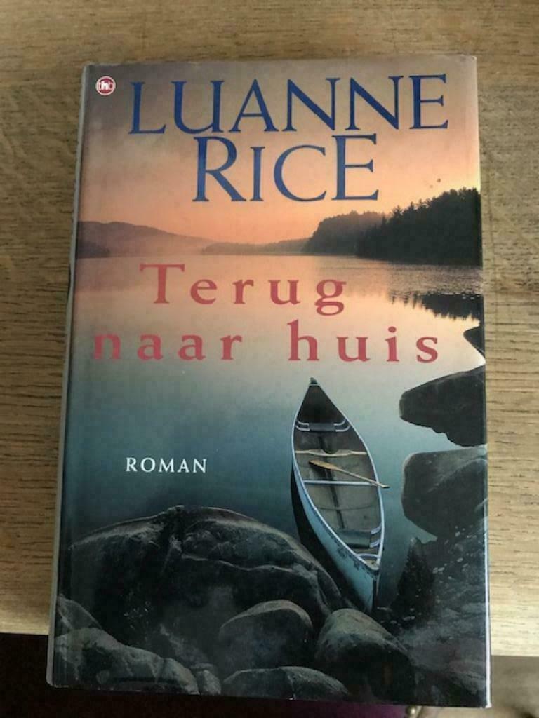 Terug naar huis - Luanne Rice, Boeken, Romans, Ophalen