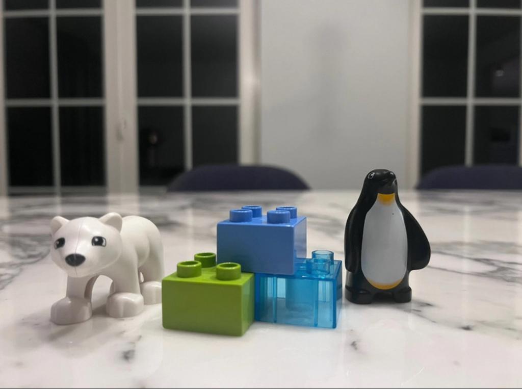 LEGO Duplo Zoo Friends 10501, Kinderen en Baby's, Speelgoed | Duplo en Lego, Ophalen, Gebruikt, Complete set, Duplo