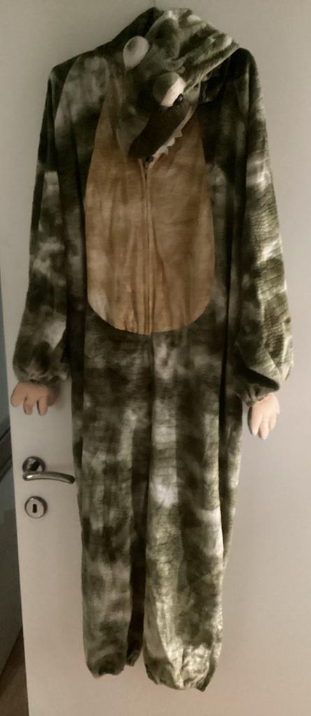 Krokodil verkleedkledij, Ophalen of Verzenden, 146 t/m 152, Jongen of Meisje