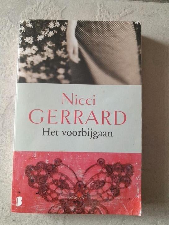Het voorbijgaan van Nicci Gerrard, Boeken, Ophalen, Gelezen
