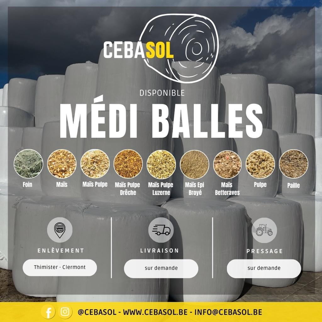 Médi-balles de foin/maïs/mélanges, Animaux & Accessoires, Enlèvement, Bétail