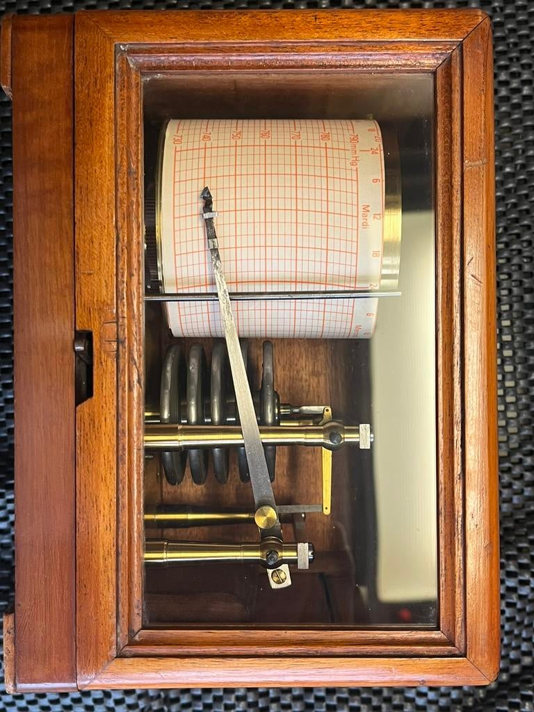 Hygrometer, Antiek en Kunst, Ophalen of Verzenden, Rechthoekig, Minder dan 50 cm, Minder dan 100 cm