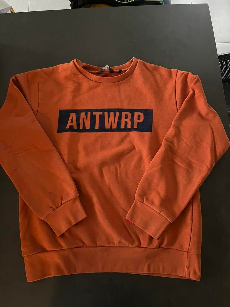 ANTWRP roestkleurige sweater maat M. Zeer goede staat., Kleding | Heren, Truien en Vesten, Overige kleuren, Maat 48/50 (M), Ophalen of Verzenden