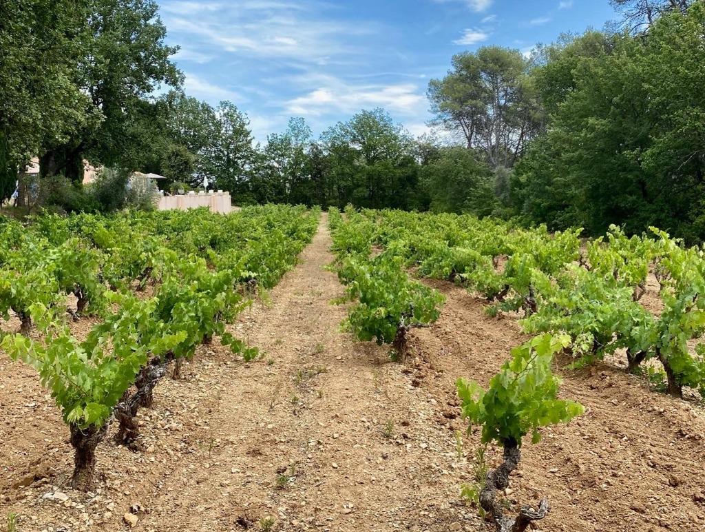 Vakantie villa Zuid Frankrijk ( Var Provence ) Lorgues, Propriétaire, Maison de campagne ou Villa, 8 personnes, Campagne