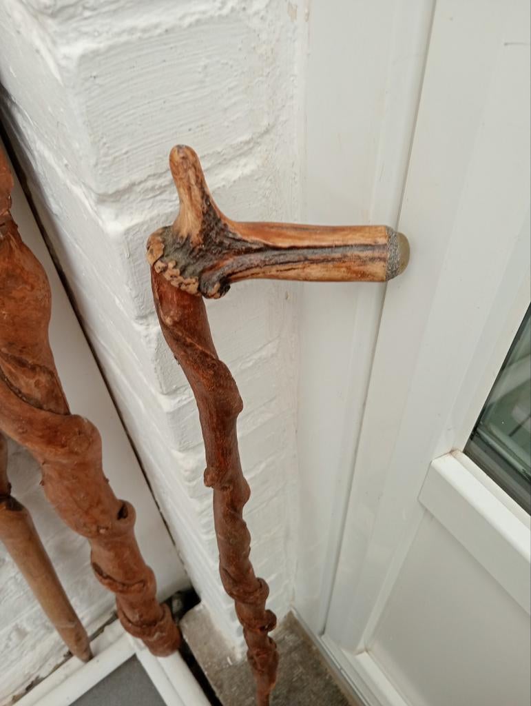 Bochtige houten wandelstok 84 cm
