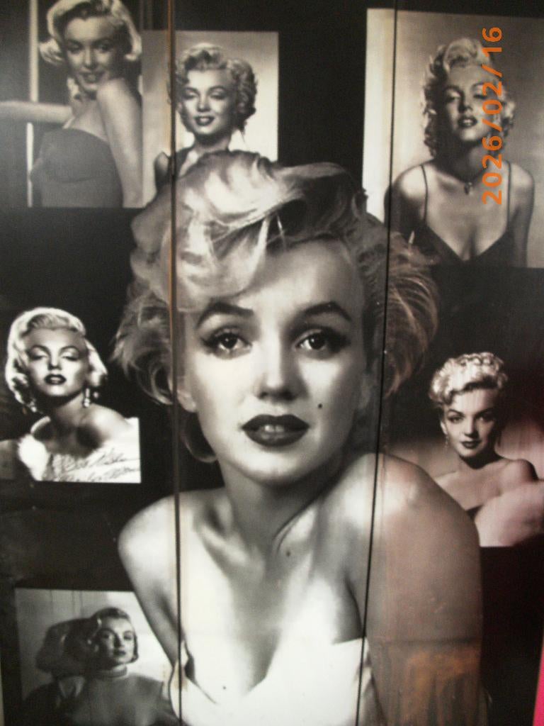 paravent Marilyn Monroe a vendre, Collections, Rétro, Maison et Meubles, Enlèvement