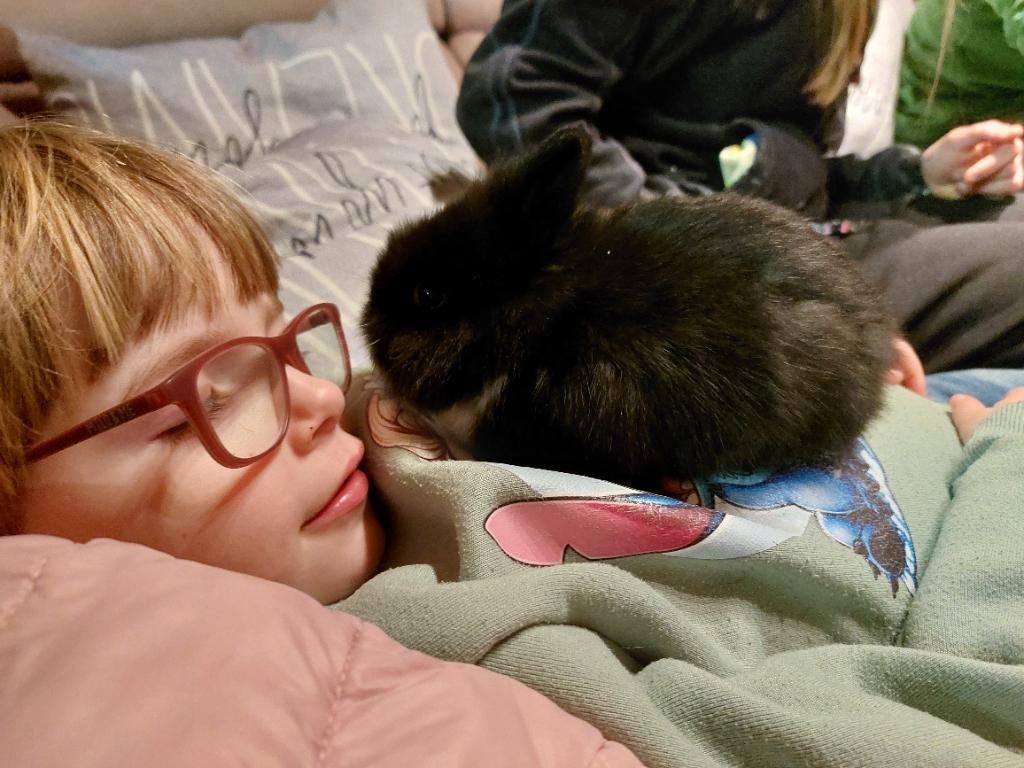 Dwergkonijntjes, 0 tot 2 jaar