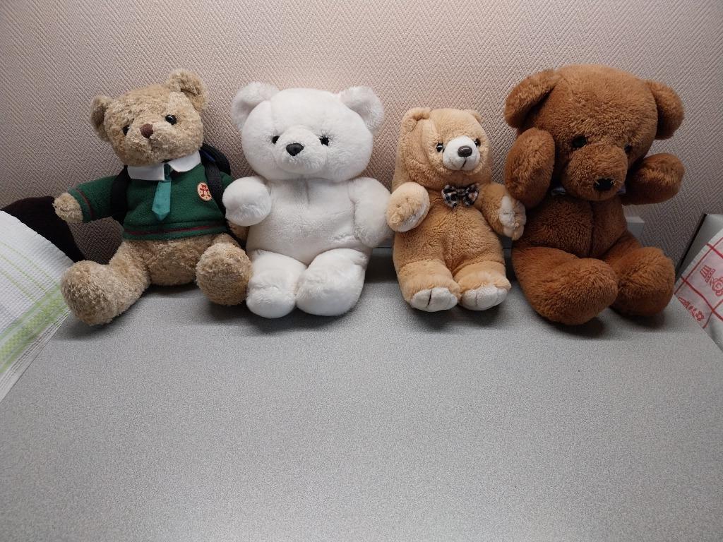 Knuffels-diverse modellen en groottes, Kinderen en Baby's, Speelgoed | Knuffels en Pluche, Gebruikt, Beer, Ophalen