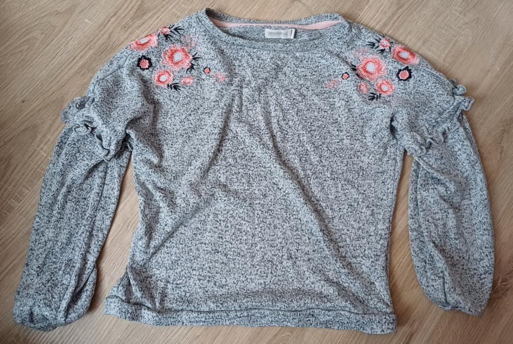 Pull fille, 5 ans, T110 (taille grand), Meisje, Trui of Vest, Ophalen of Verzenden, Zo goed als nieuw