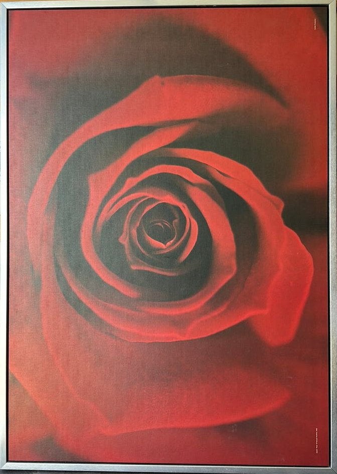 Photo d'art dans un cadre en aluminium, Enlèvement