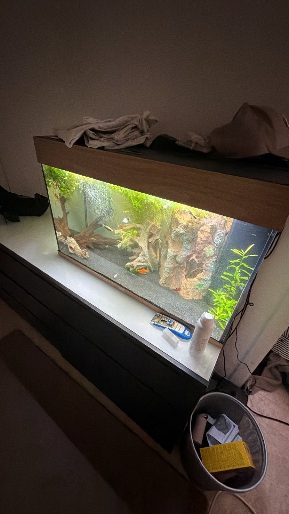 Aquarium juwel 125L, Ophalen, Zo goed als nieuw, Leeg aquarium, Inclusief vissen