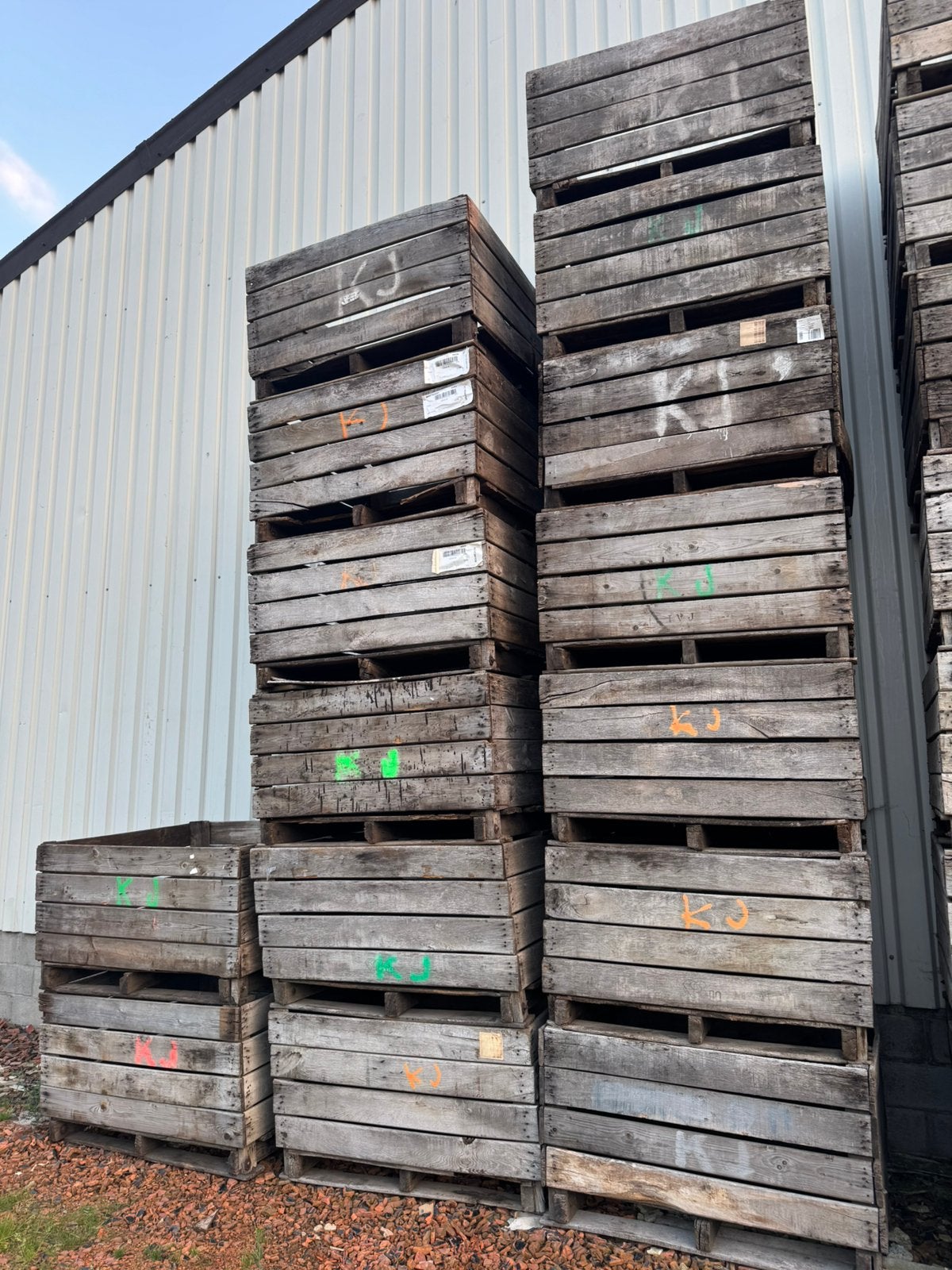 Eiken Paloxen, Zakelijke goederen, Landbouw | Aardappelen, Groenten, Fruit en Vlees, Ophalen