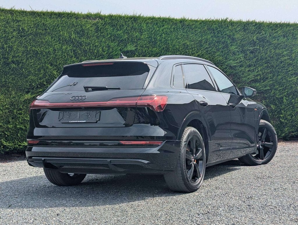 Audi Q8 e-tron (Q8) e-tron S-line - sportstuur - gekleurde r, Automaat, Gebruikt, 313 pk, Q8 e-tron