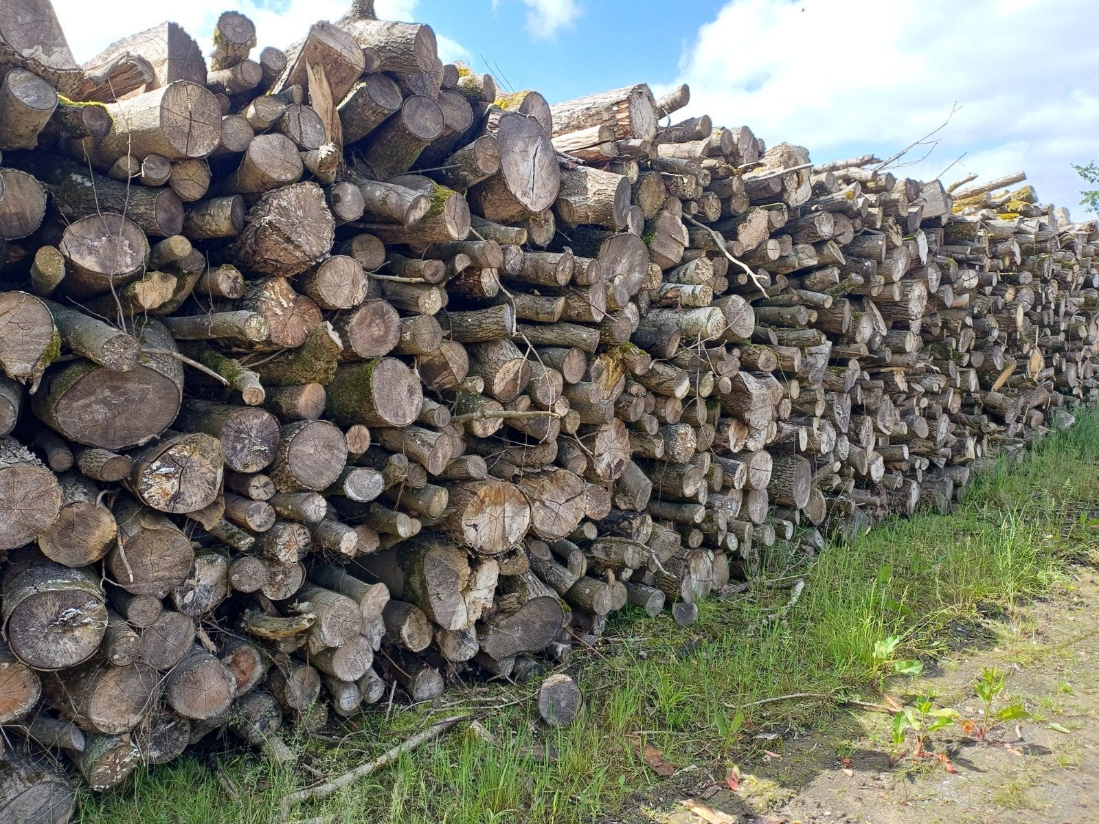 Bois de chauffage extra en 2m., Tuin en Terras, Brandhout