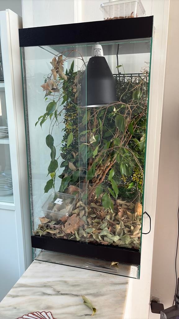 Terrarium voor caméléon, Dieren en Toebehoren, Ophalen, Zo goed als nieuw