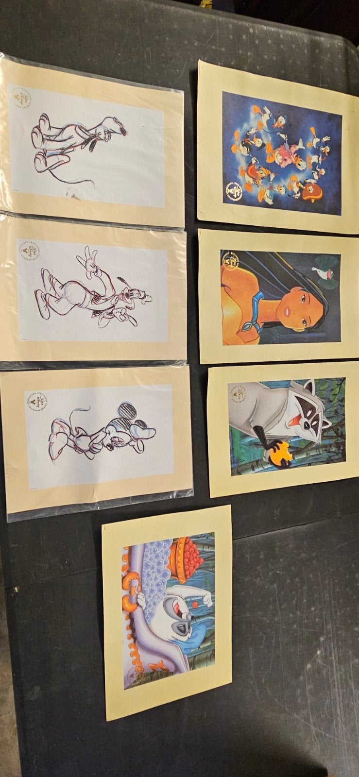 lithographie Disney, Collections, Enlèvement